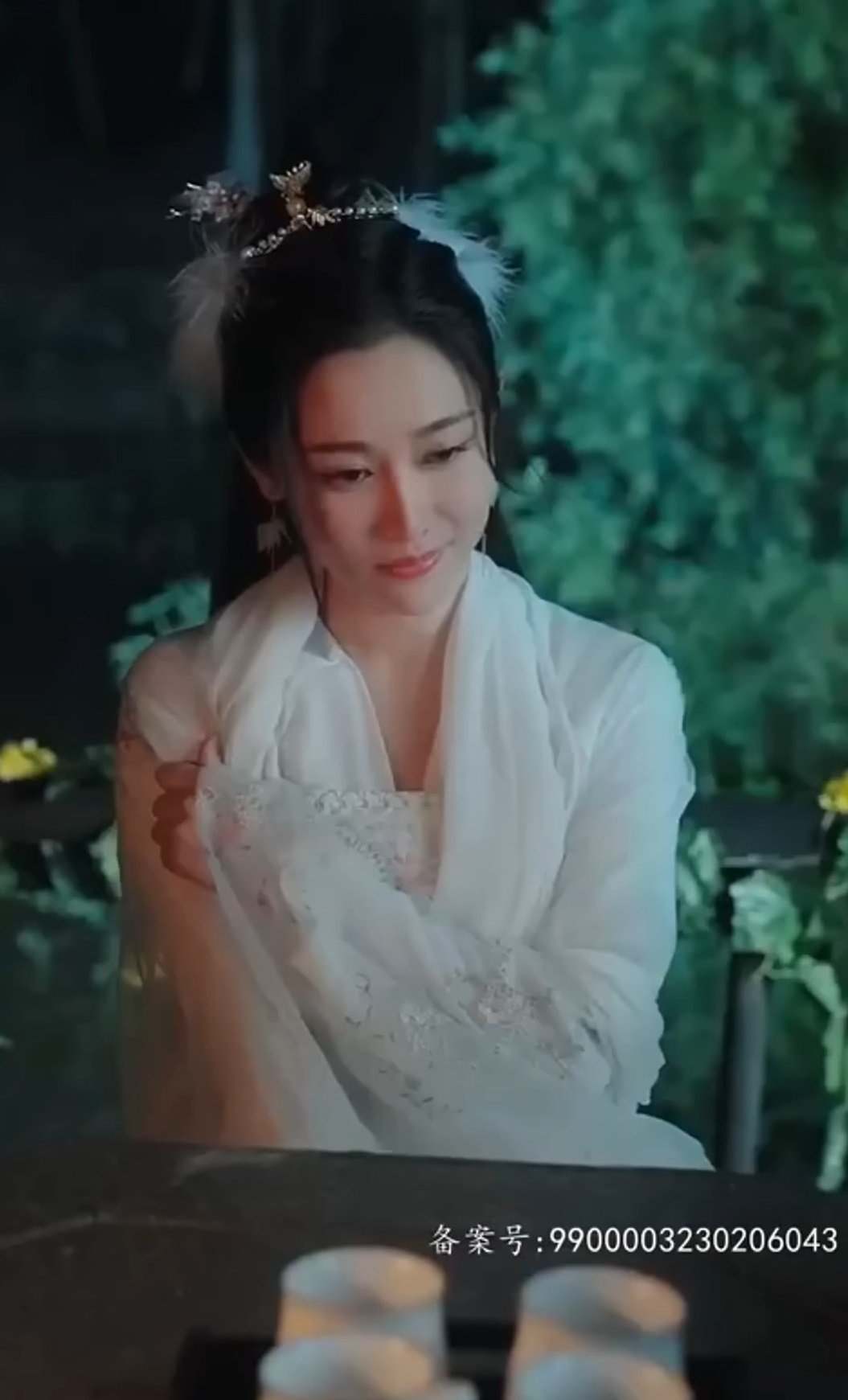 我的九尾狐老婆